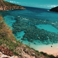 Hanauma Bay Natural Preserve